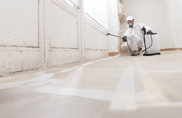 24/7 Emergency Basement Mold Removal experts in Ridgefield, NJ