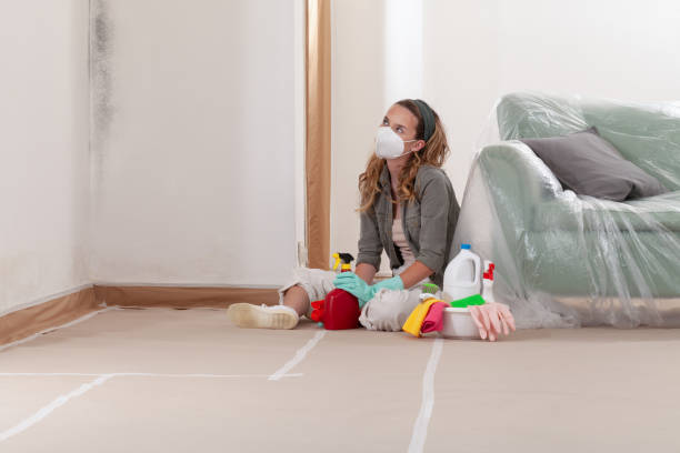 Reliable Basement Mold Removal contractor in Ridgefield, NJ by WQB Mold Removal
